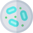 bacterias icon