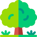 Árbol icon