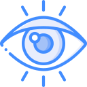 ojo icon