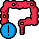 intestinos icon