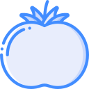 tomate icon