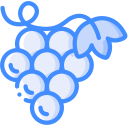 uvas icon