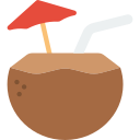 bebida de coco icon