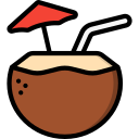 bebida de coco icon