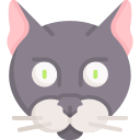 gato