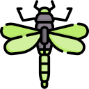 libélula icon