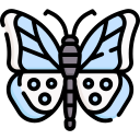 schmetterling icon