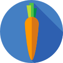 zanahoria icon