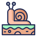 caracol