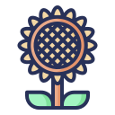 girasol icon