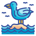 gaviota icon