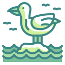 gaviota icon