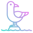 gaviota icon