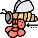 abeja