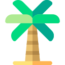 palmera icon