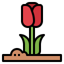 tulipán icon