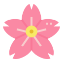 sakura icon