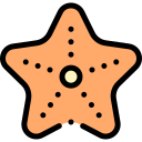 estrella de mar