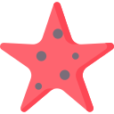 Étoile de mer 