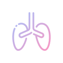 pulmones icon