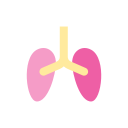 pulmones