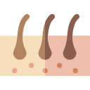 dermatología