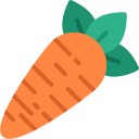 Carrot icon