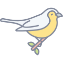 pájaro icon