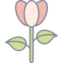 tulipán icon