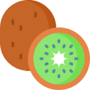 kiwi icon