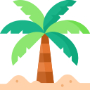 palmera 