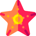 estrella de mar 