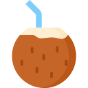 bebida de coco icon