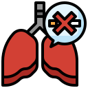 pulmones