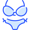 bikini icon