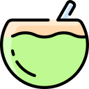 bebida de coco icon