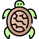 tortuga icon