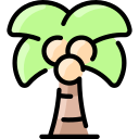 palmera 