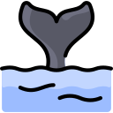 ballena icon