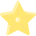 estrella de mar 