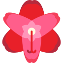 amarilis icon