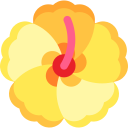 hibisco icon