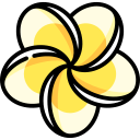 plumeria 