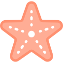 estrella de mar 