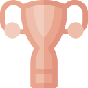 uterus icon