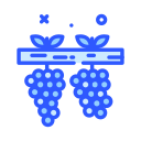 uvas icon