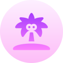 palmera icon