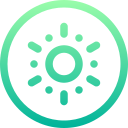 Kiwi icon