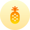 piña icon