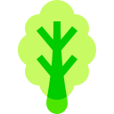 lechuga icon